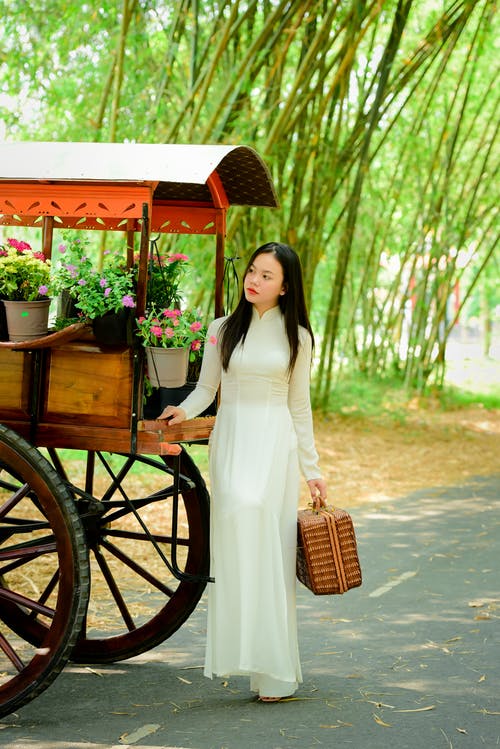 有关乘客, 假日, 假期的免费素材图片