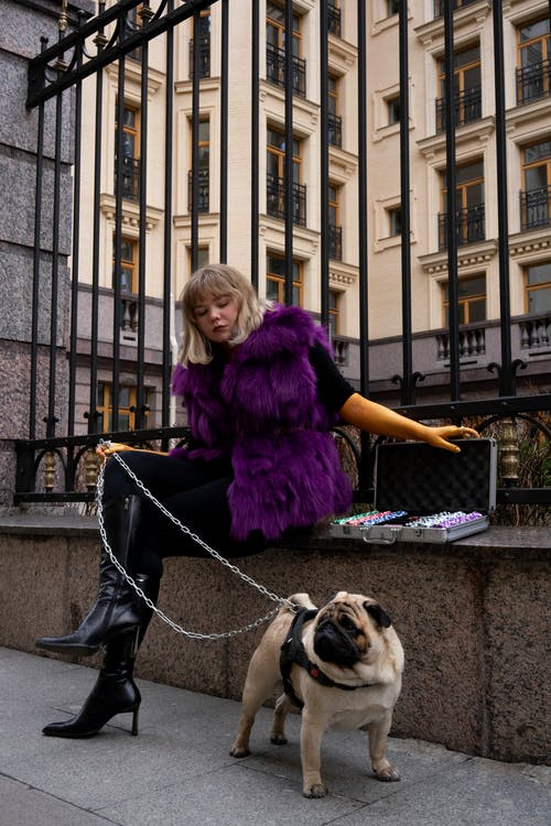 紫色皮大衣的女人 · 免费素材图片