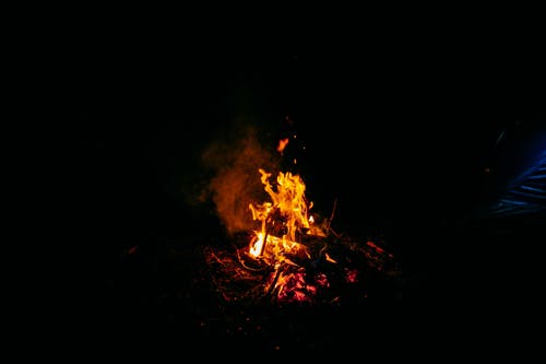 有关假日, 传统, 充满活力的免费素材图片