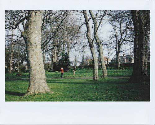 在绿草地上行走的人 · 免费素材图片