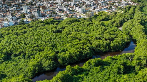有关城市, 巴西, 帕拉伊巴的免费素材图片