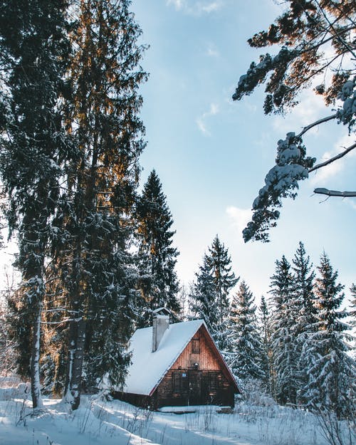 有关下雪的, 冬季, 冬季景观的免费素材图片