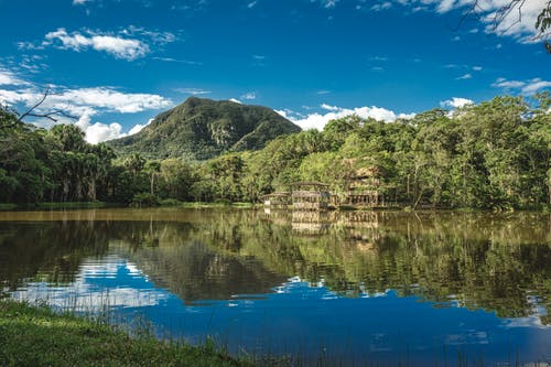 有关反射, 山, 森林的免费素材图片