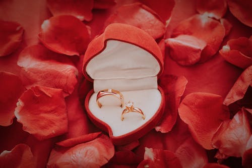 红色花瓣上的金婚戒 · 免费素材图片