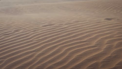 棕砂用水 · 免费素材图片
