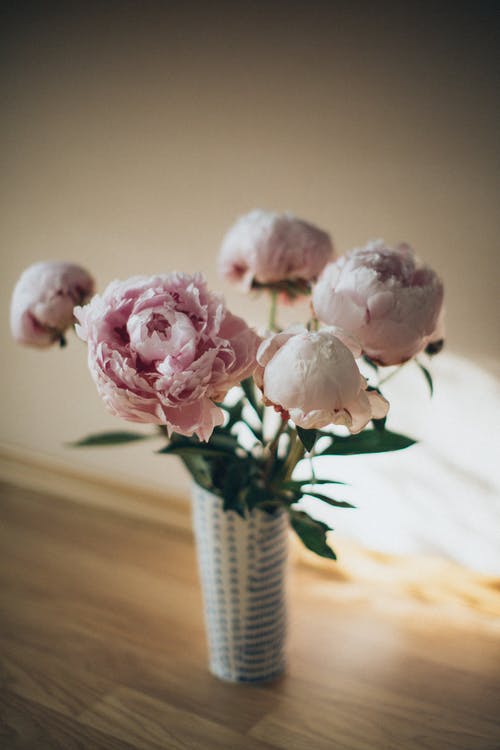 花瓶里的粉红花园玫瑰的选择性焦点 · 免费素材图片