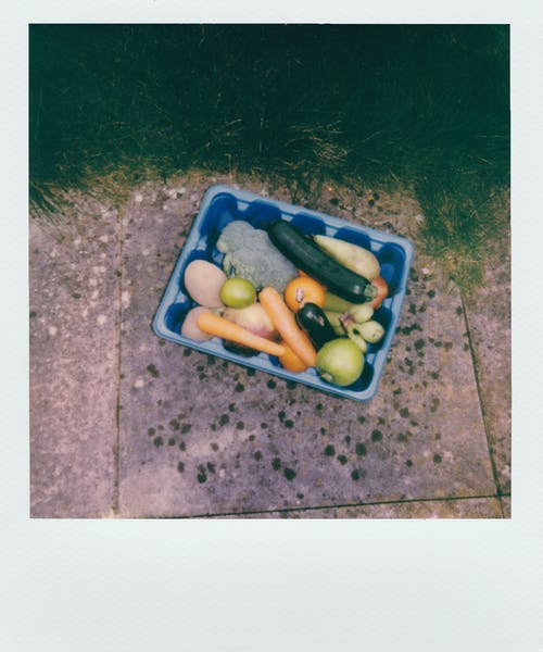 宝丽来照片的蓝色塑料容器中的食物 · 免费素材图片