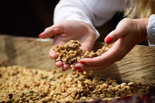 新鲜的咖啡豆 · 免费素材图片