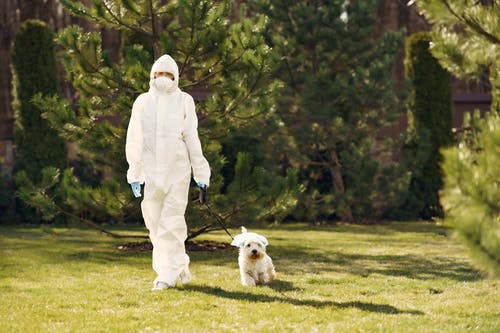 有关个人保护设备, 人, 动物的免费素材图片