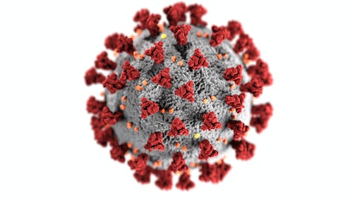 新冠病毒 · 免费素材图片