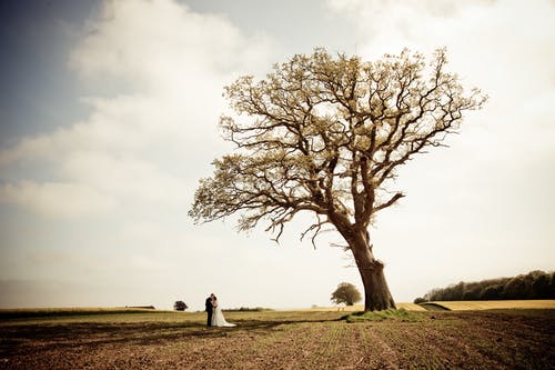 男人和女人站在棕色的田野，附近白云下绿树 · 免费素材图片
