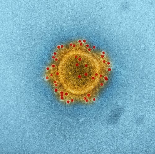 有关covid-19, 冠状病毒, 分析的免费素材图片