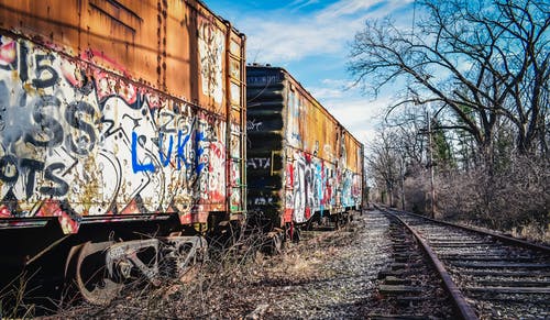 有关不均匀的, 乾的, 分公司的免费素材图片