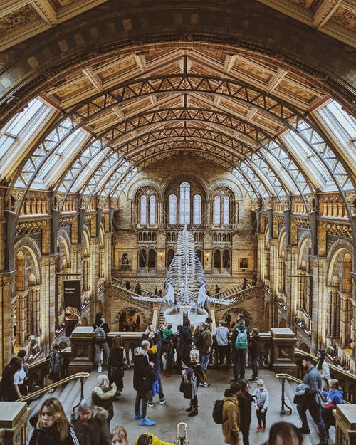 有关伦敦, 博物馆, 地标的免费素材图片