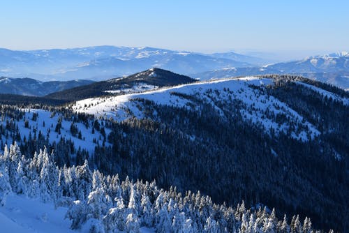 有关冬季, 冷, 大雪覆盖的免费素材图片