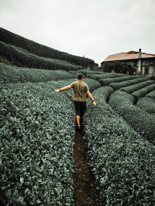 有关不露面, 人, 休闲的免费素材图片