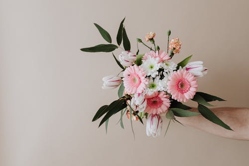 有关Copyspace, 一串, 丁香的免费素材图片