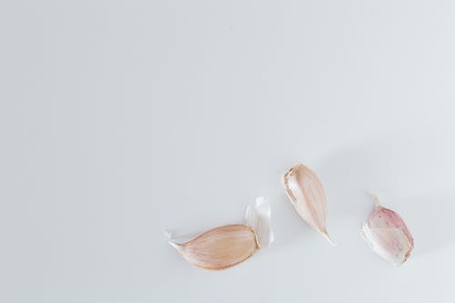 有关Copyspace, 一般开销, 丁香的免费素材图片