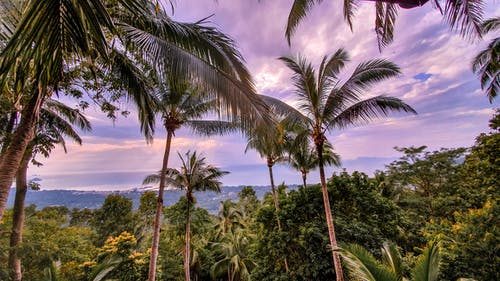 有关天堂, 天性, 日落的免费素材图片