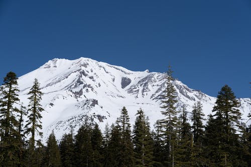 有关冬季, 冷, 大雪覆盖的免费素材图片