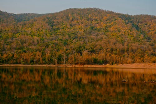 有关下落, 冷静, 反射的免费素材图片