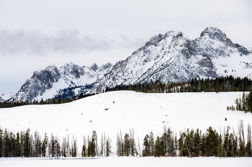雪山和山谷中的常绿乔木在冬天 · 免费素材图片