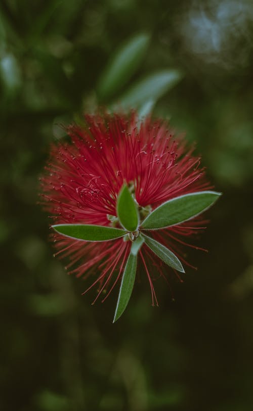 有关僵尸, 公园, 原本的免费素材图片