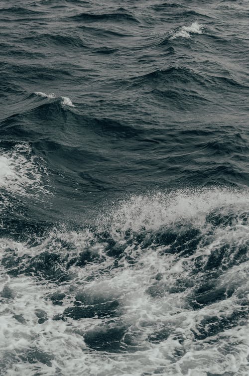 灰度摄影中的海浪 · 免费素材图片