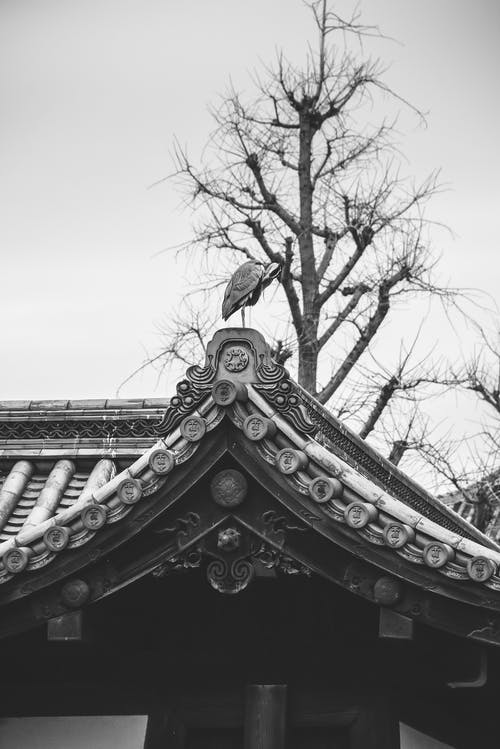 有关亚洲建筑, 京都, 传统的免费素材图片