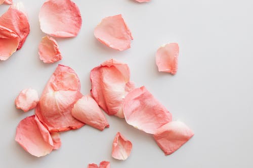 有关Copyspace, 一串, 一般开销的免费素材图片