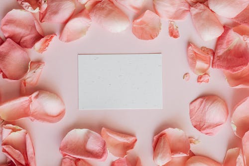 有关Copyspace, 一串, 一般开销的免费素材图片