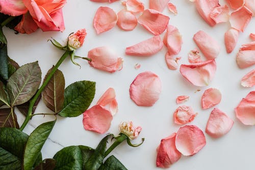 有关一般开销, 以印模压铸的, 作文的免费素材图片