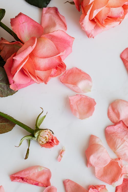 有关Copyspace, 一串, 下落的免费素材图片