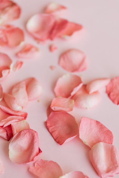 有关Copyspace, 一串, 一般开销的免费素材图片