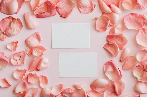 有关Copyspace, Flatlay, 事件的免费素材图片