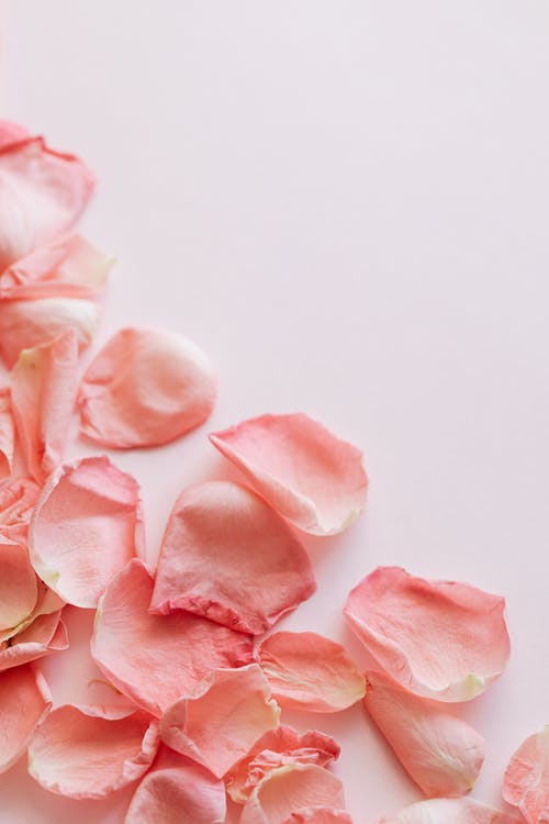 有关Copyspace, 一串, 一般开销的免费素材图片