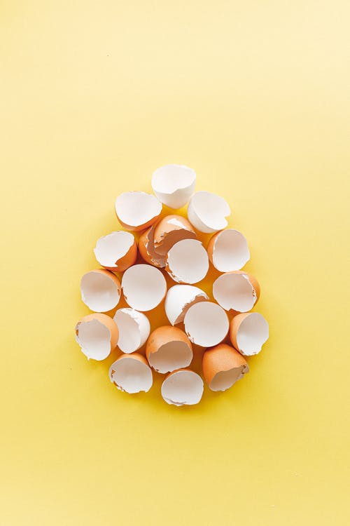 在黄色背景上的碎的蛋壳 · 免费素材图片