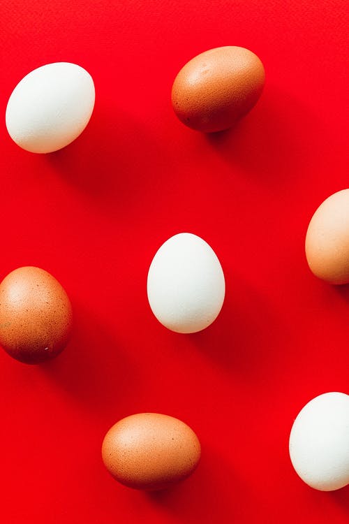 红色背景上的鸡蛋 · 免费素材图片