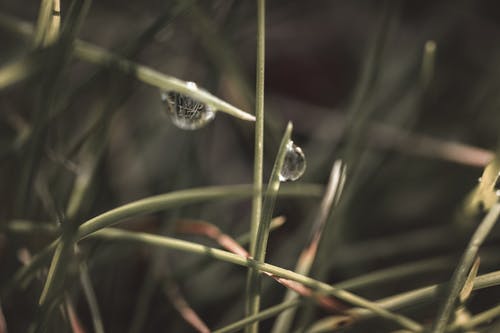 有关4k 桌面, 天性, 专注的免费素材图片