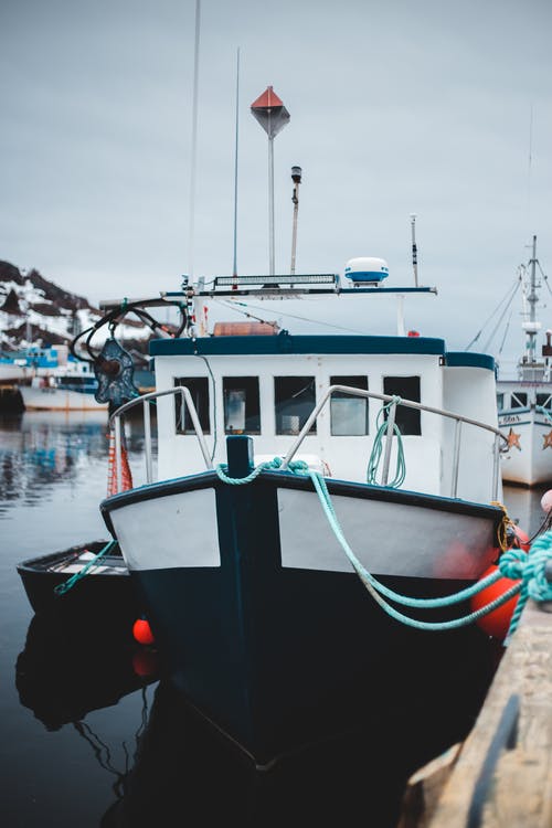 有关冬季, 冷静, 北的免费素材图片