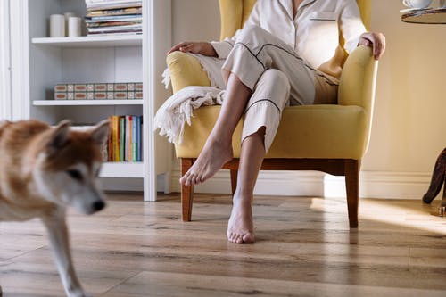 有关光脚, 公寓房, 动物的免费素材图片