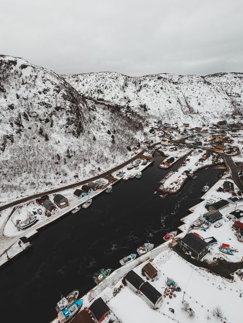 有关冬季, 冷, 冷静的免费素材图片