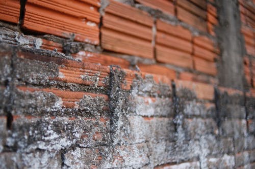 有关元素, 分段, 区域的免费素材图片