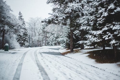 有关下雪的, 下雪的天气, 冬季的免费素材图片