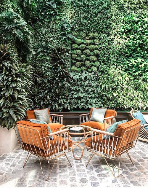 棕色木制扶手椅和绿色植物 · 免费素材图片