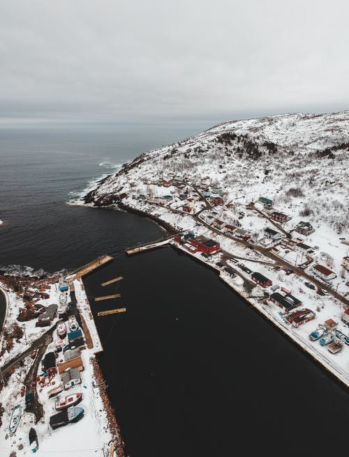 有关冬季, 冷, 冷静的免费素材图片