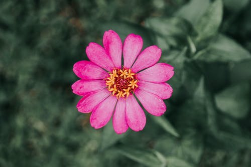 有关壁纸, 头顶射击, 从上面的免费素材图片