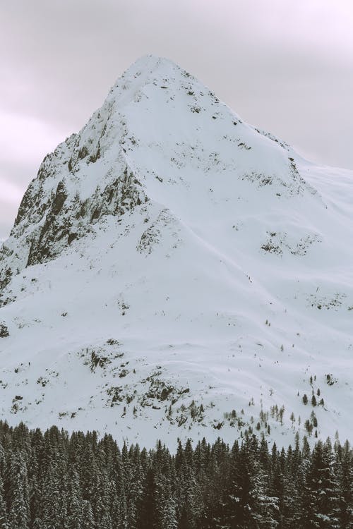有关ICEE, 下雪, 下雪的天气的免费素材图片