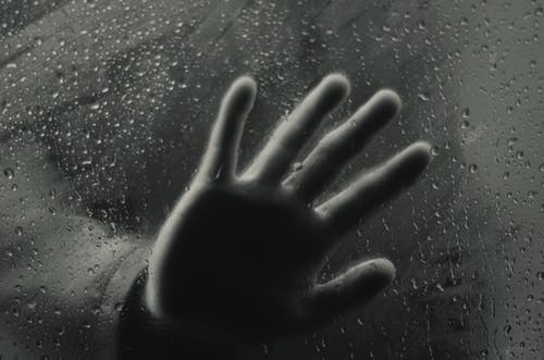 有关bw, 不快乐, 不露面的免费素材图片