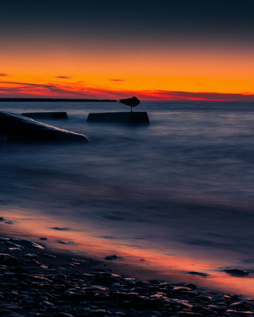 有关側面, 剪影, 地平線的免费素材图片